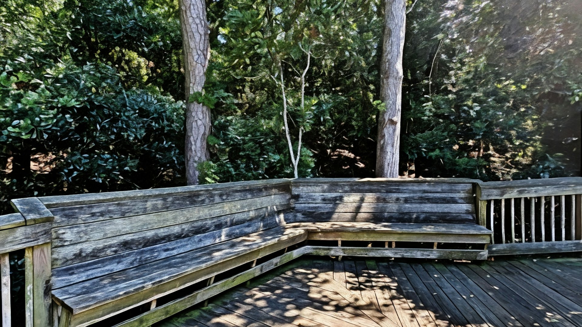 A wooden backyard deck with built-in benches under trees