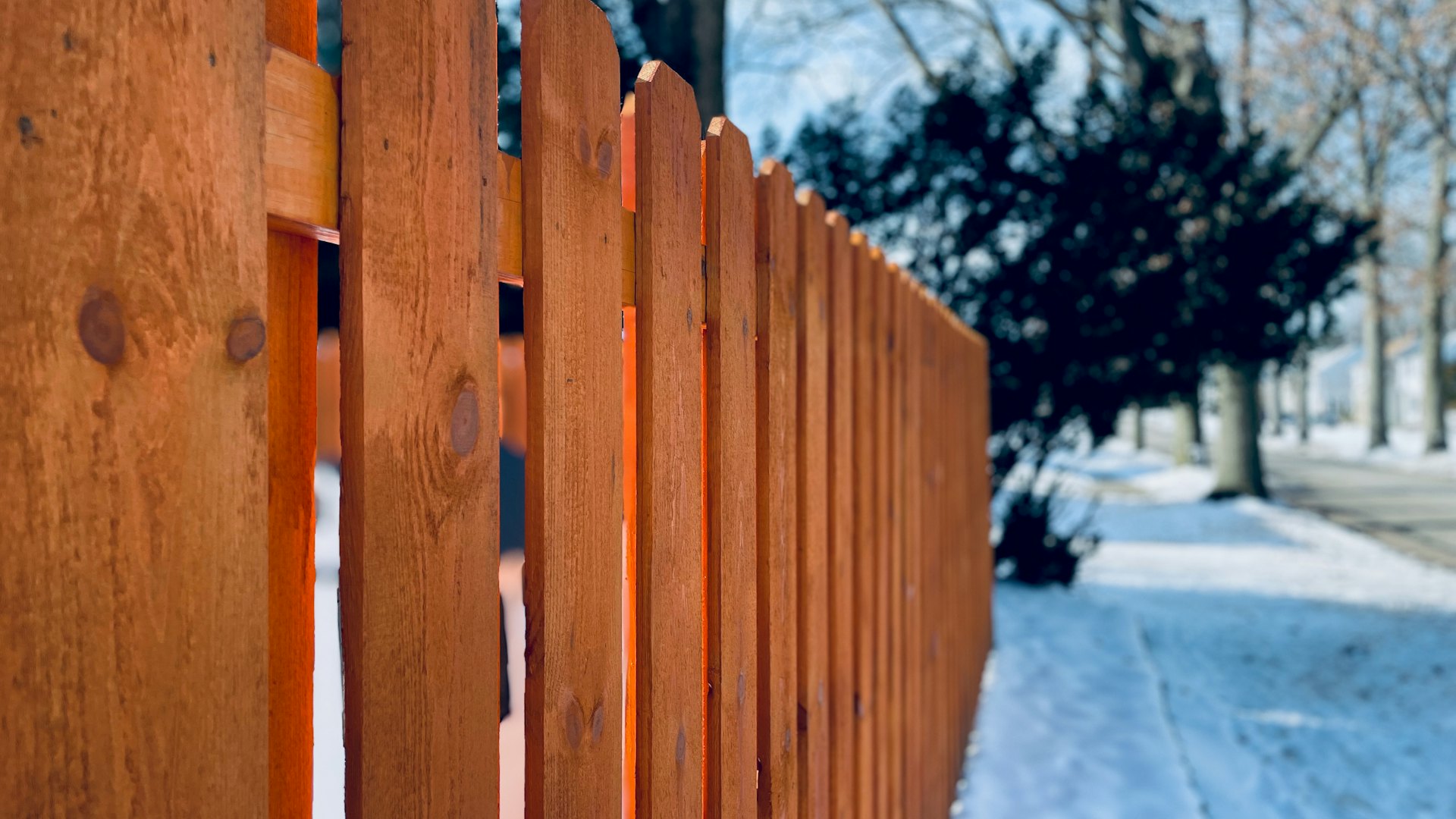 A cedar picket fence along a snowy sidewalk